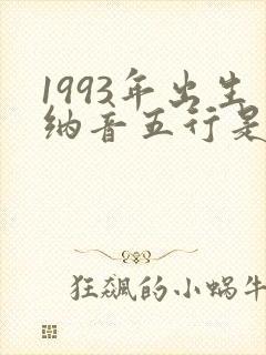 1993年出生纳音五行是什么命