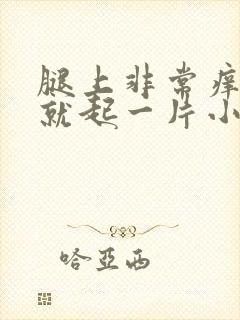 腿上非常痒一抓就起一片小疙瘩