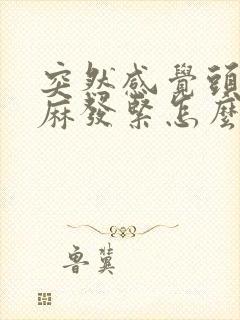 突然感觉头皮发麻发紧怎么回事