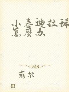 小泰迪拉稀拉血怎么办