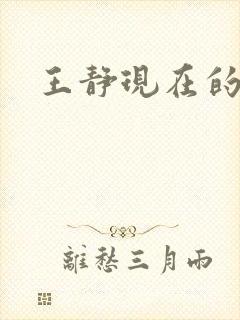 王静现在的丈夫