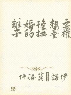 离婚后想要回孩子的抚养权封面