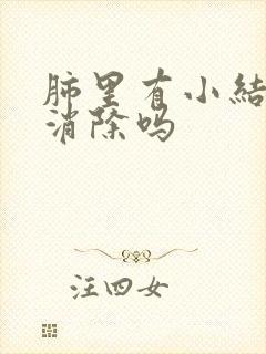 肺里有小结节会消除吗