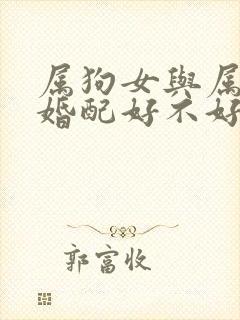 属狗女与属狗男婚配好不好