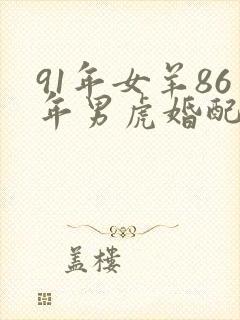 91年女羊86年男虎婚配好不好封面