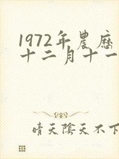 1972年农历十二月十一日出生的女性的命运封面