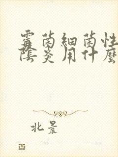 霉菌细菌性混合阴炎用什么药效果好