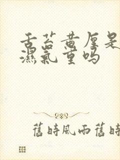 舌苔黄厚是体内湿气重吗封面