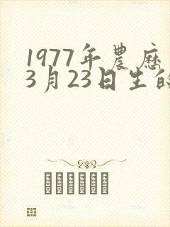 1977年农历3月23日生的命运如何
