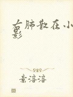 右肺散在小结节影