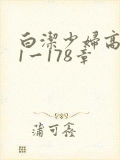 白洁少妇高义第1一178章