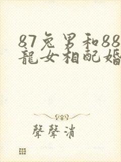 87兔男和88龙女相配婚姻