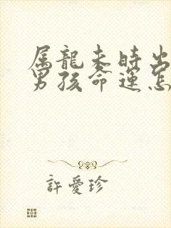 属龙未时出生的男孩命运怎么样