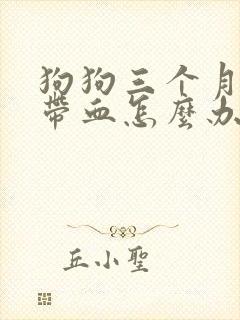 狗狗三个月拉稀带血怎么办