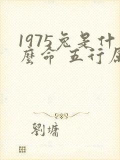 1975兔是什么命 五行属什么