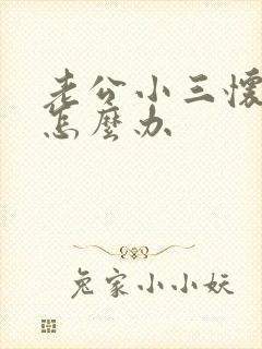 老公小三怀孕了怎么办