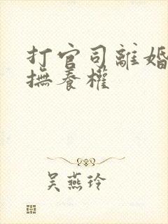 打官司离婚争夺抚养权