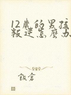 12岁的男孩太叛逆怎么办