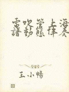 电吹管上海滩简谱动态伴奏曲