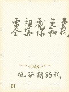 电视剧免费观看全集你和我的倾城时光封面