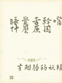 睡觉舌干嘴苦是什么原因