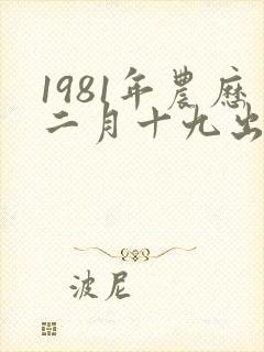 1981年农历二月十九出生命运