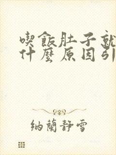 吃饭肚子就疼是什么原因引起的封面