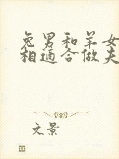 兔男和羊女的属相适合做夫妻吗封面