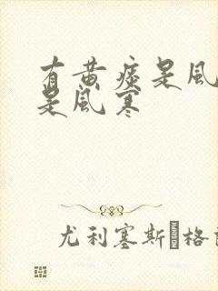 有黄痰是风热还是风寒封面