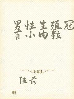 男性生殖冠状沟有小肉粒