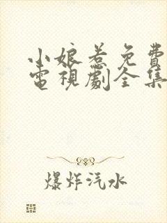 小娘惹免费观看电视剧全集封面