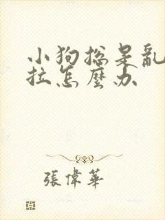 小狗总是乱尿乱拉怎么办