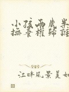 小孩两岁半离婚抚养权归谁抚养