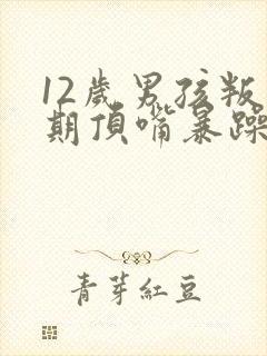 12岁男孩叛逆期顶嘴暴躁发脾气