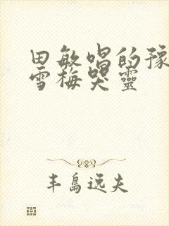 田敏唱的豫剧秦雪梅哭灵