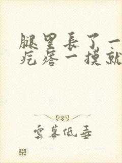 腿里长了一个硬疙瘩一摸就疼封面