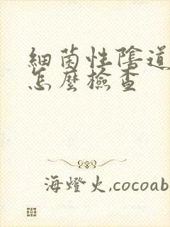 细菌性阴道发炎怎么检查