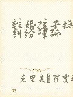 离婚孩子抚养权纠纷律师