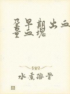 孕早期出血有少量血块