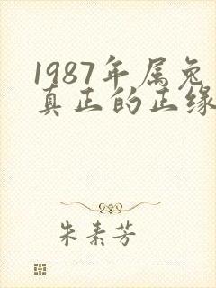 1987年属兔真正的正缘在二婚