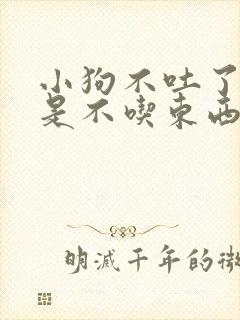 小狗不吐了,但是不吃东西怎么办