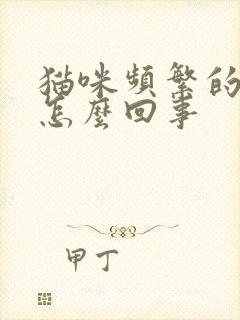 猫咪频繁的乱尿怎么回事