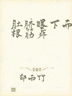 肚脐眼下面有一根筋疼