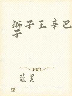 狮子王辛巴的儿子