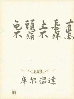 龟头上长有红点不痛不痒怎么回事