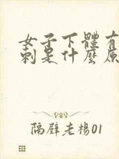 女子下体有小肉刺是什么原因封面