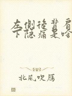 左侧后背肩胛骨下隐痛是啥原因