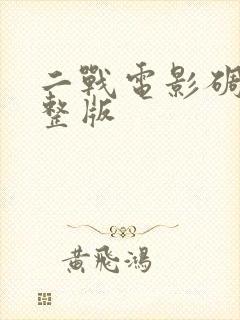 二战电影碉堡完整版