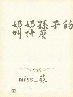 奶奶孙子的儿子叫什么