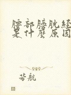 腰部膀胱经疼痛是什么原因引起的封面